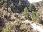 DSCF8155 [nuevas].JPG