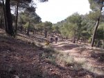 DSCF8178 [nuevas].JPG