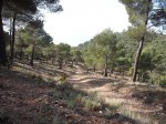 DSCF8169 [nuevas].JPG