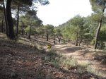 DSCF8171 [nuevas].JPG