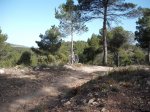 DSCF8170 [nuevas].JPG