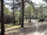 DSCF8194 [nuevas].JPG