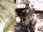 DSCF8230 [nuevas].JPG