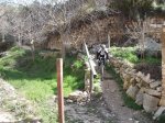 DSCF8225 [nuevas].JPG