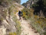 DSCF8213 [nuevas].JPG