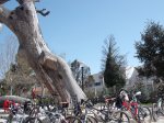 DSCF8233 [nuevas].JPG