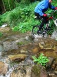DSCF8278.JPG
