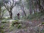 DSCF1342.JPG