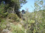DSC01765.JPG
