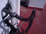 IMAG0126.jpg