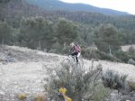 DSCF8264 (Copiar).JPG