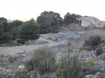 DSCF8246 (Copiar).JPG