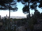 DSCF8240 (Copiar).JPG