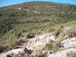 DSCF8269 (Copiar).JPG