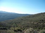 DSCF8268 (Copiar).JPG