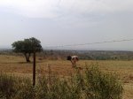 270620101498.jpg