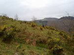 26032011151[1] (800x600).jpg
