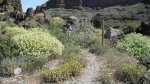 DSCF4587.JPG
