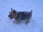 dia de nieve 008.jpg