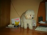 DSC03872.JPG