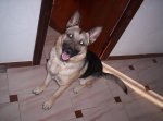 imagen 027 (Medium).jpg