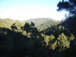 rimg0073_2.jpg