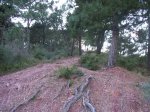 rimg0193_2.jpg