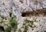 Asturias (13).JPG