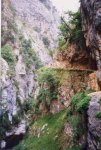 Asturias (16).JPG
