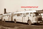 autobus.jpg