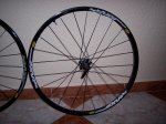 ENDURO 001.jpg