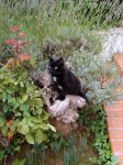 DSC03157.JPG