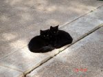 DSC03182.JPG