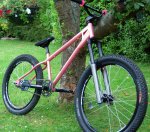 bike20lp.jpg