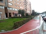 carril 1.jpg