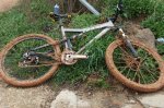 FOTOS IBEX 006 (Custom) (Large).jpg