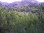 PHOT0022_800x600.jpg
