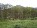 IMG_0010 - copia.jpg