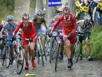 koppenberg3-789432.jpg