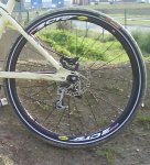 DSC01062 - copia.JPG