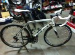 whitededa1.jpg