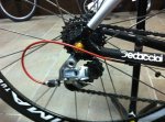 whitededa6.jpg