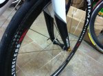 whitededa8.jpg
