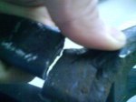 DSC01358.jpg