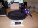 DSCN0230.jpg