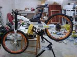 IMAG0051.jpg