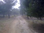 270320111048.jpg
