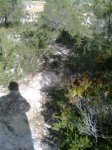 Imagen0124 (Peque&#241;a).jpg