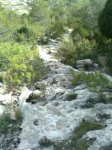 Imagen0121 (Peque&#241;a).jpg