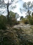 Imagen0128 (Peque&#241;a).jpg